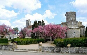 Randonnée 20 km mercredi 10 décembre