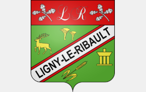 Randonnée 20 km vendredi 6 février