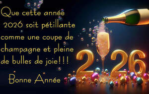 Bonne année