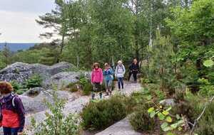 Sortie  forêt de Fontainebleau