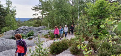 Sortie  forêt de Fontainebleau