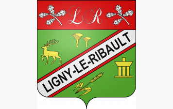 Randonnée 20 km vendredi 6 février