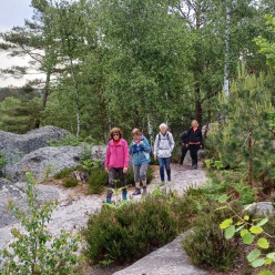 Sortie  forêt de Fontainebleau