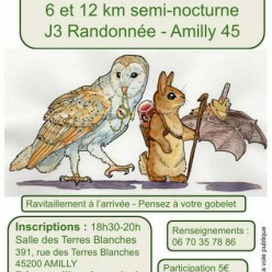Randonnée nocturne Amilly