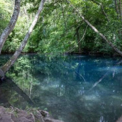 Sortie nocturne Tavers " Le chemin des eaux bleues "